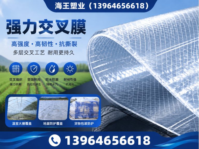 高密市聚酯胎展示图